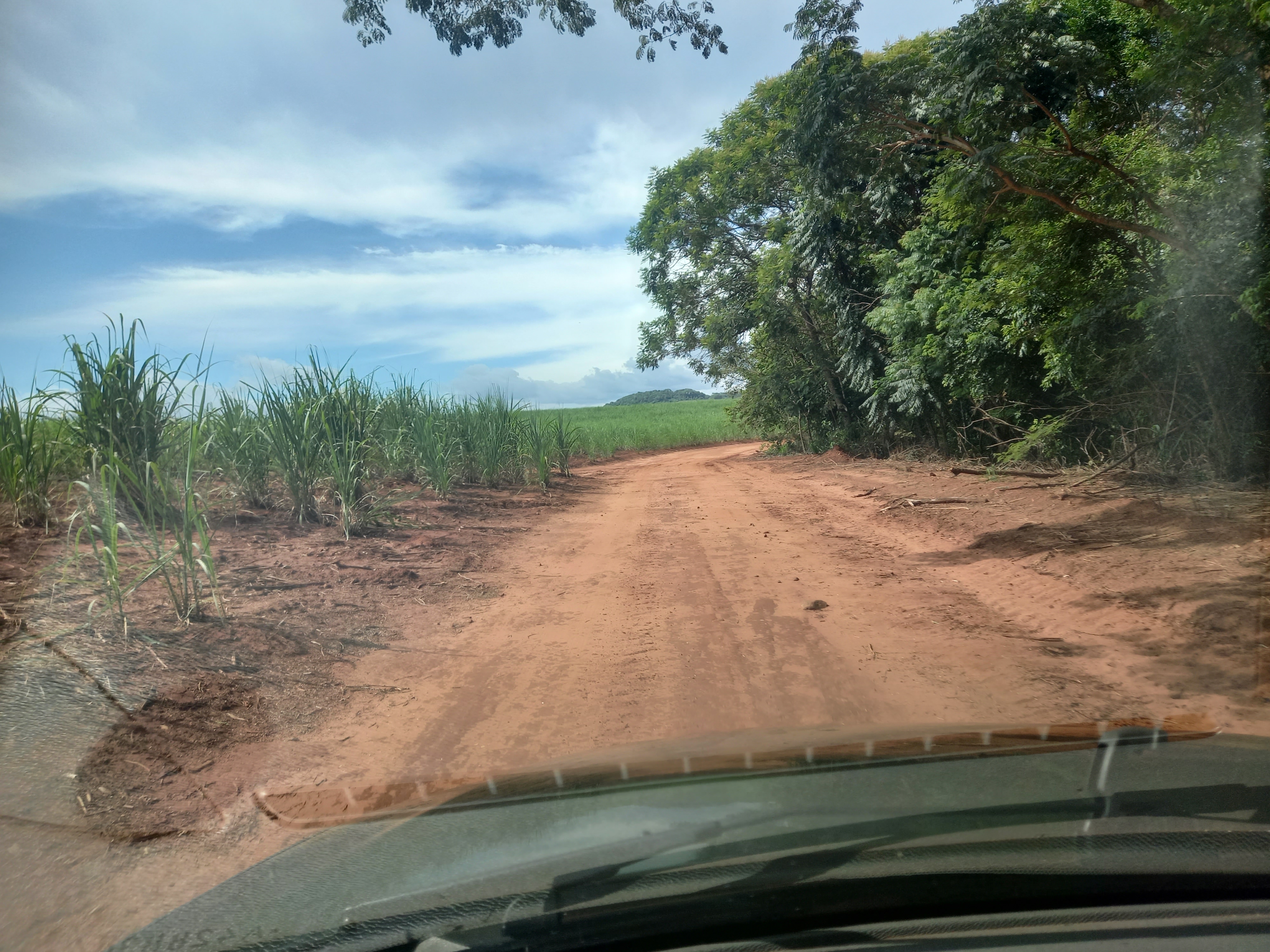 Imobiliária em Ribeirão Preto, Imobiliaria em Ribeirao Preto